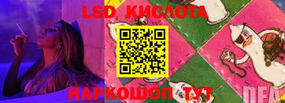 ECSTASY Заволжье