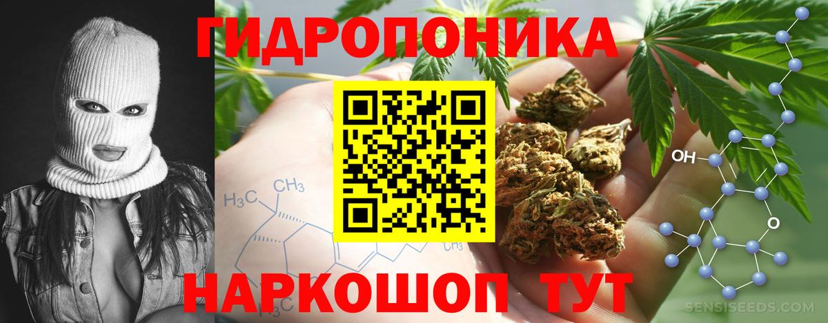 Марихуана OG Kush Муром